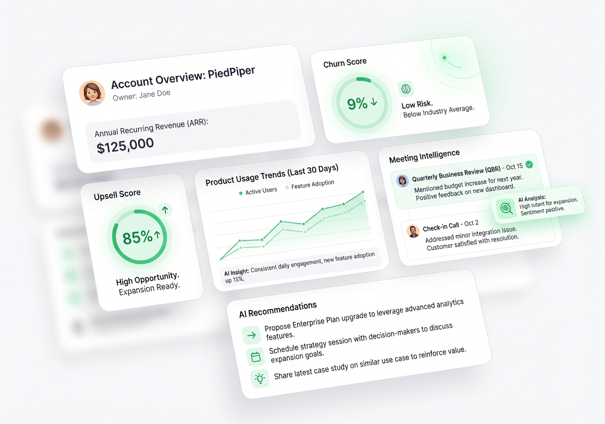 Account Overviews - 360-degree view of customer accounts with comprehensive insights